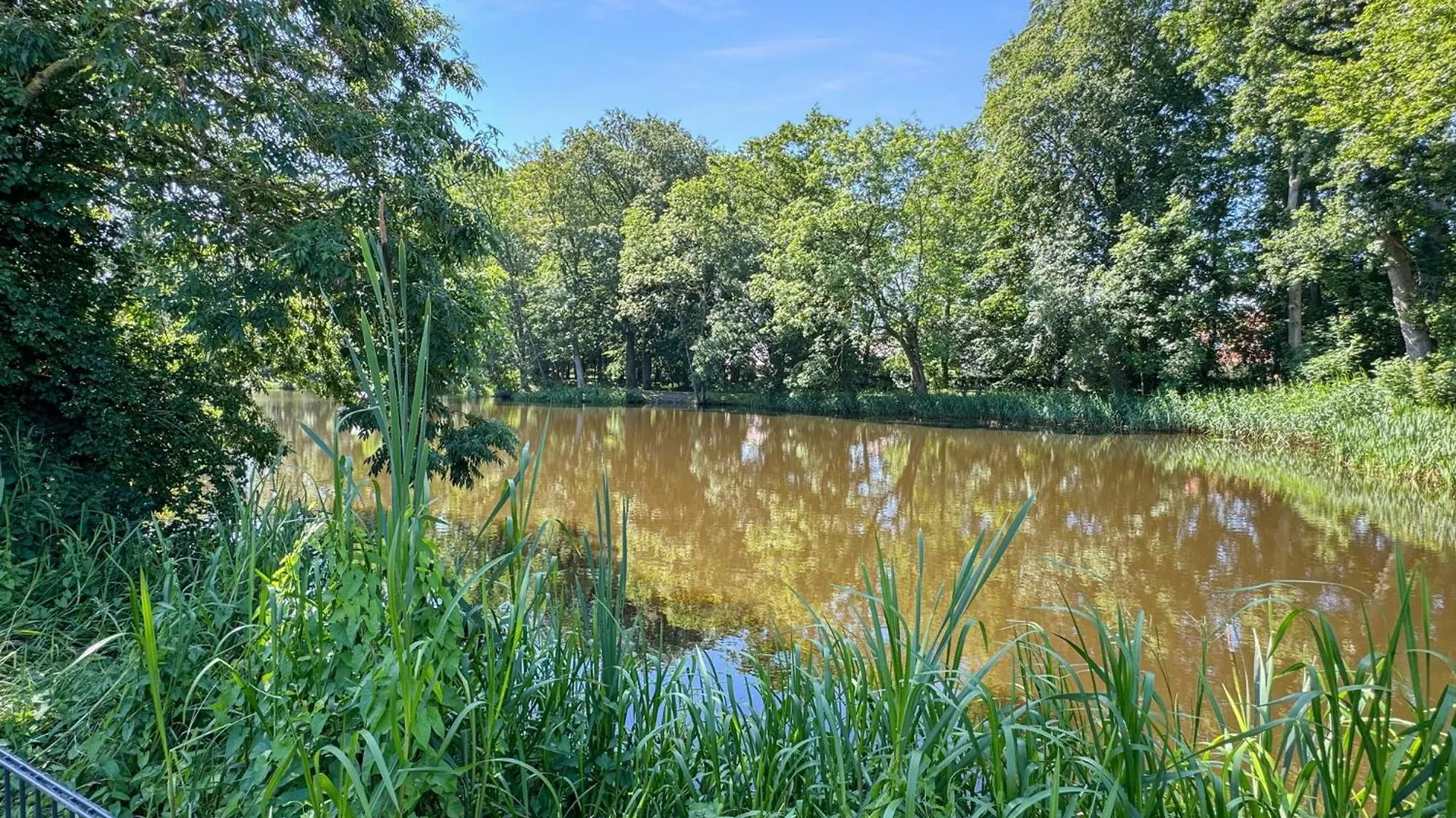 Ferienhaus Cblue: Seeblick, Kamin, Wallbox, Natur Bentwisch